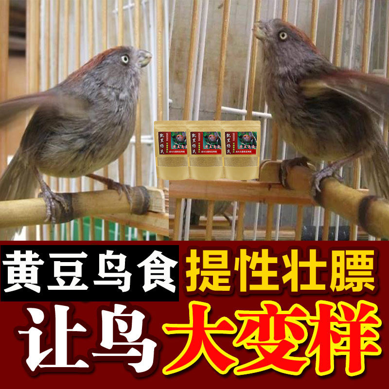 黄豆鸟食饲料黄腾提性打鸟杨氏500g鸟食