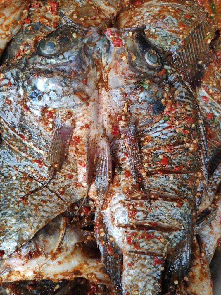 云南特色烤鱼腌鱼包邮淡水鱼类罗非鱼香辣五香傣味淡水鱼类