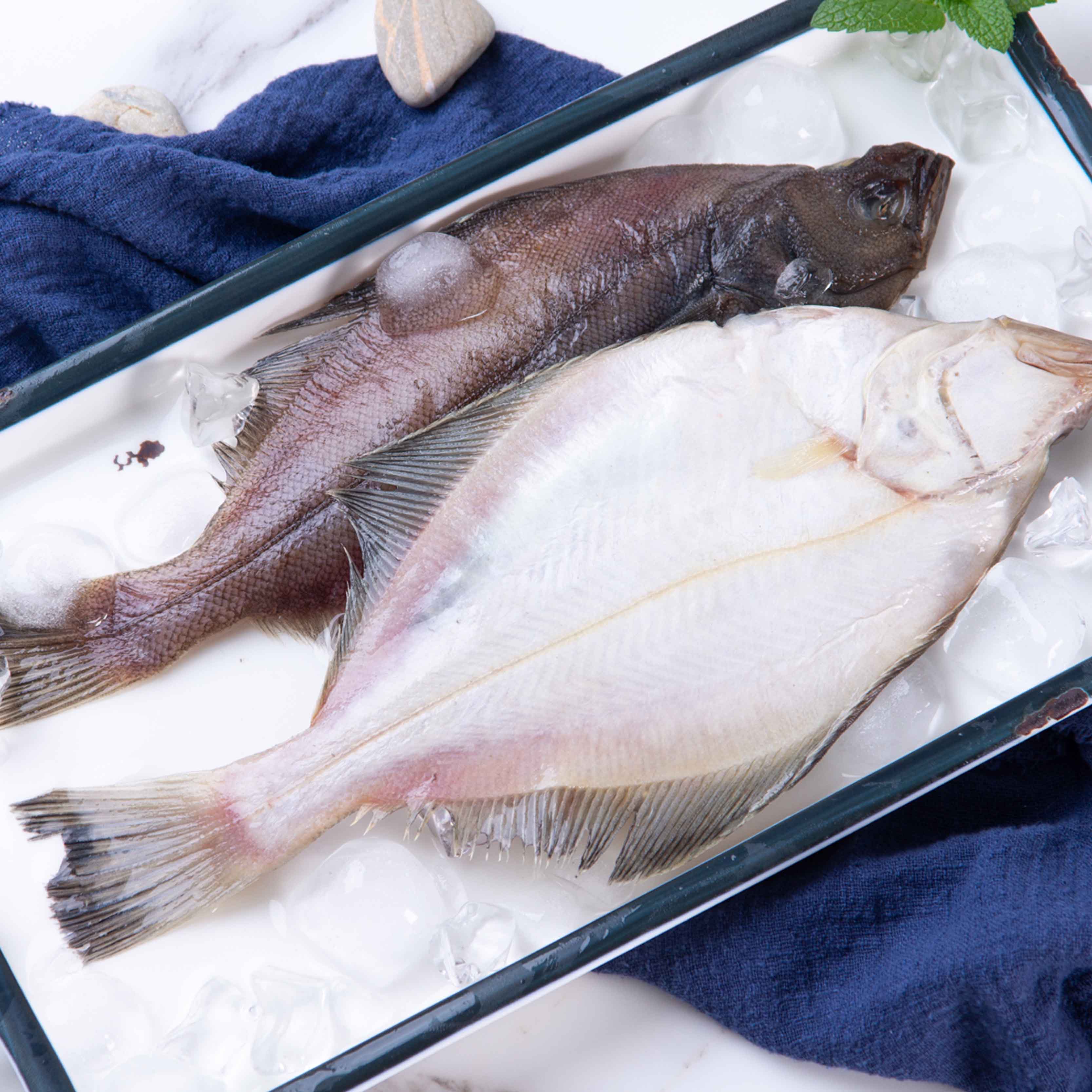 新品野生海捕比目鱼保鲜新鲜大偏口鱼深海碟鱼冷冻大连海鲜水产