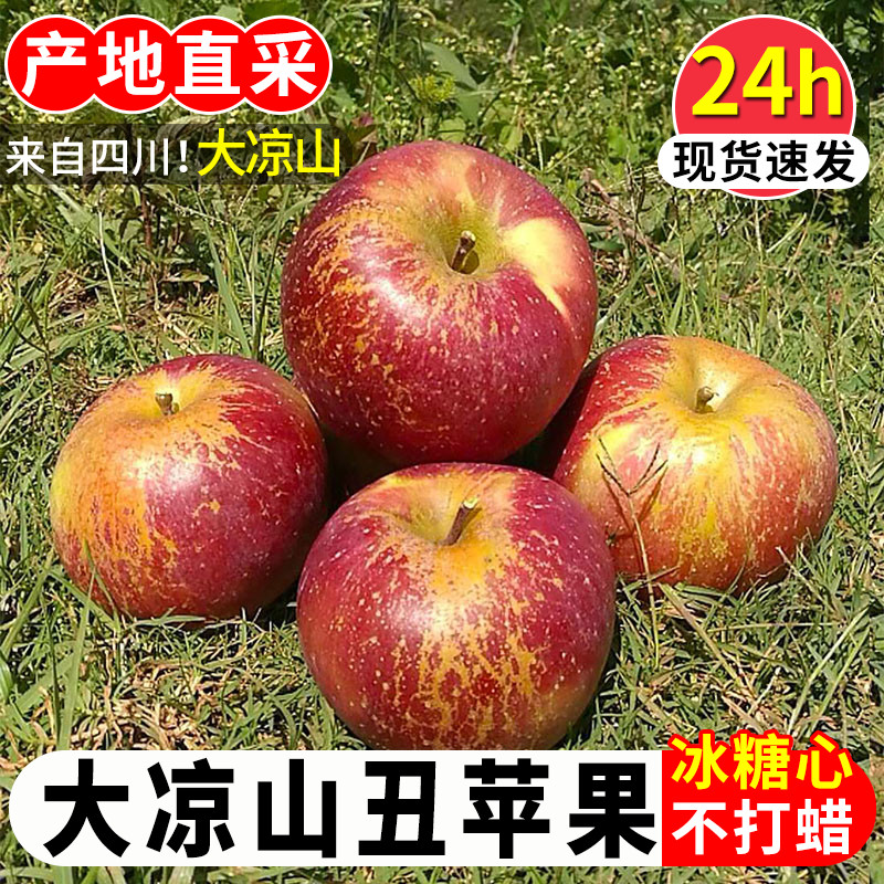 大凉山丑苹果新鲜水果当季整箱10斤包邮四川盐源红富士冰糖心苹果