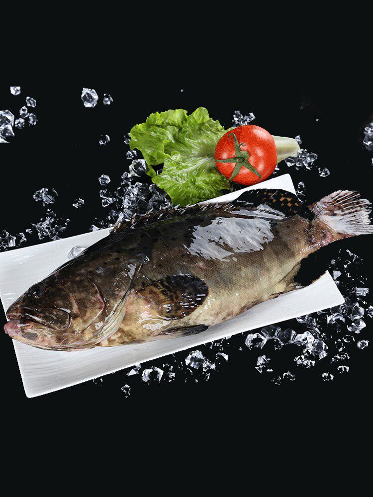 石斑鱼龙胆珍珠斑鱼新鲜生猛大石冷冻海鲜水产手机保护套