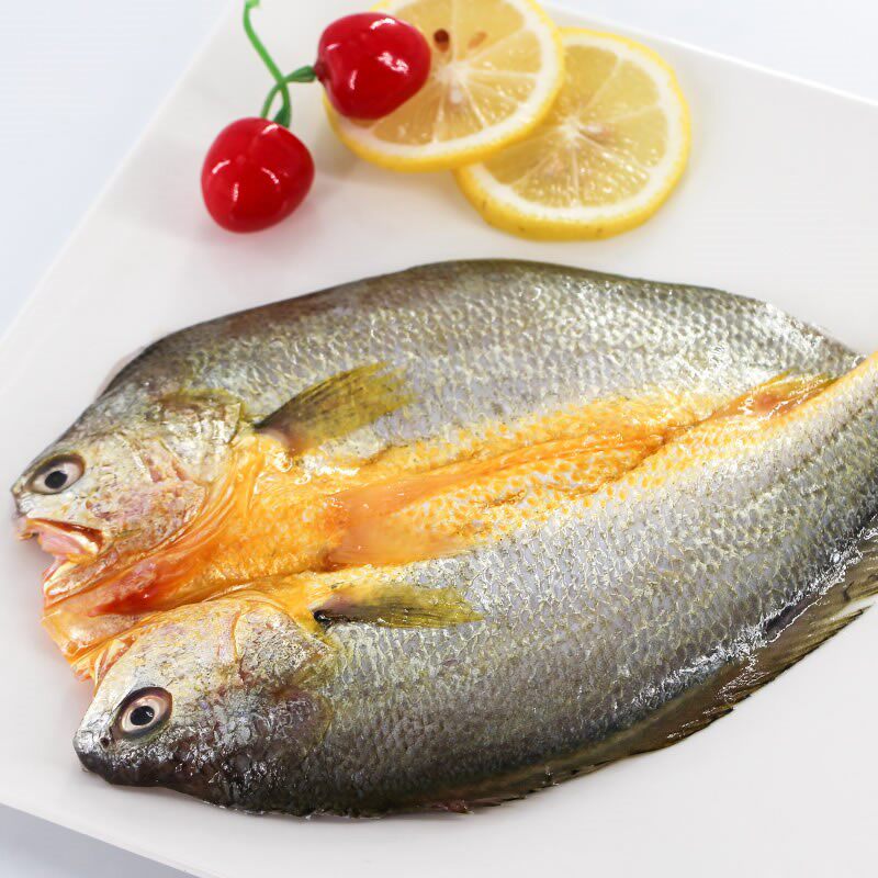 醉香黄鱼醇香咸香宁德特产大黄黄花鱼冷冻tong其它玩具