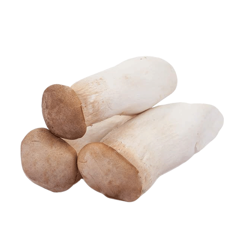 宏升蔬菜火锅平菇雪茸蘑菇大腿新鲜菌菇刺芹新鲜松茸