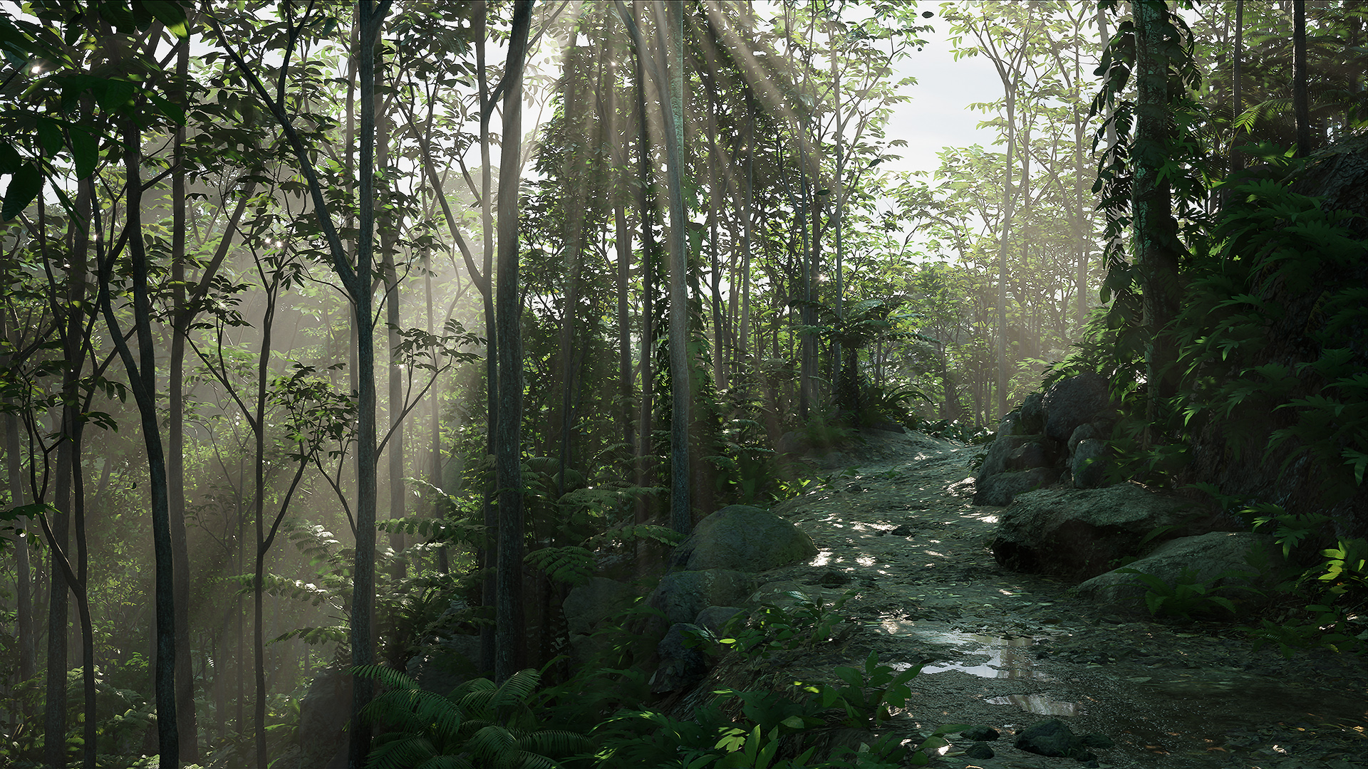 ue4虚幻ue5rainforestpack热带雨林森林树木场景设计素材