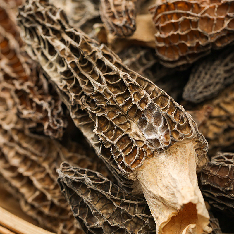 辉兴干货羊肚50g云南特产菌羊肚菇新鲜营养香菇类