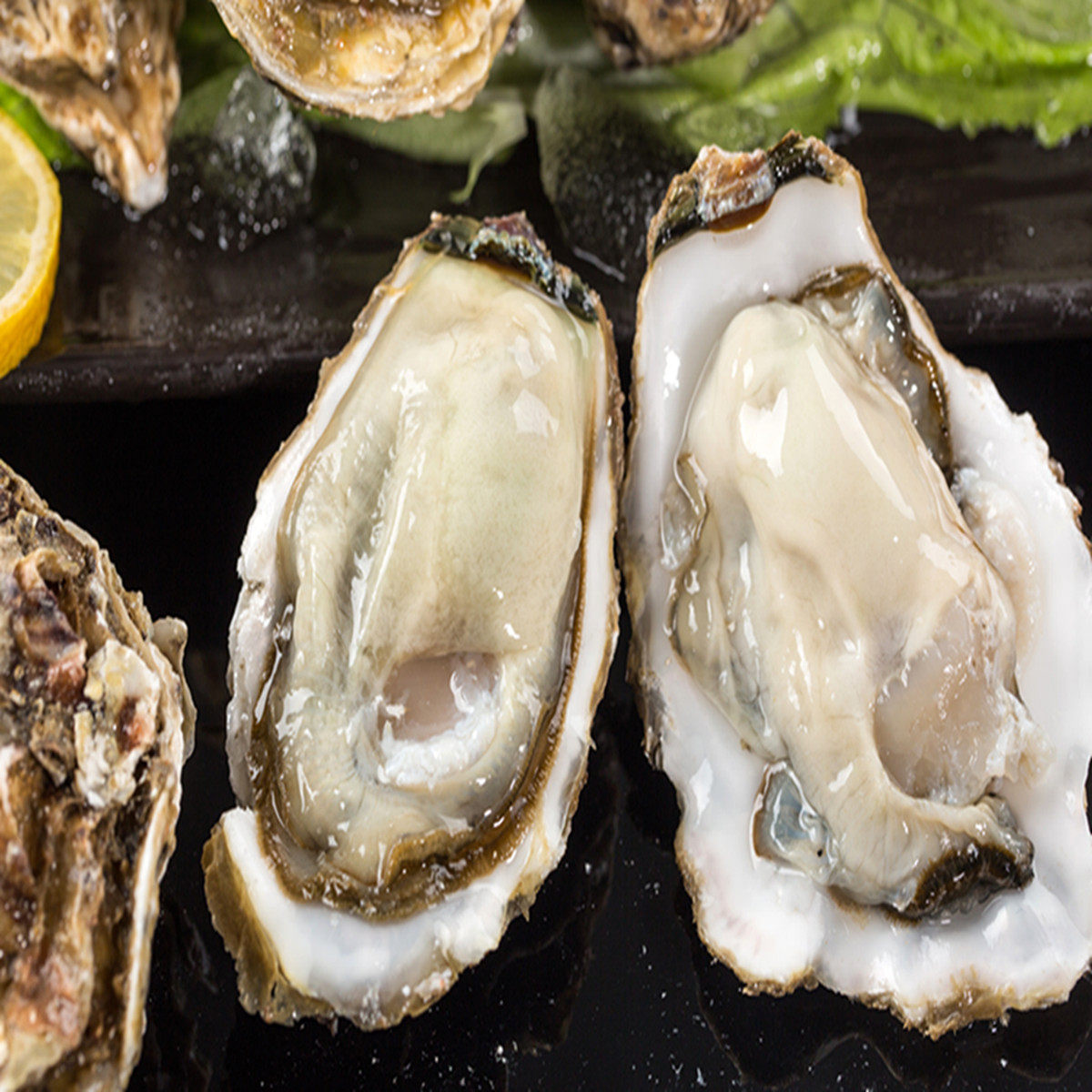 乳山整箱顺丰水产海鲜带壳海10斤特大号新鲜鲜活生蚝