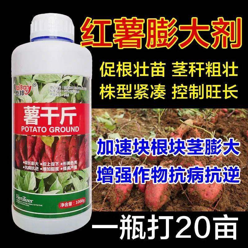 红薯控旺膨大专用肥地瓜增产叶面增甜防裂高产介质