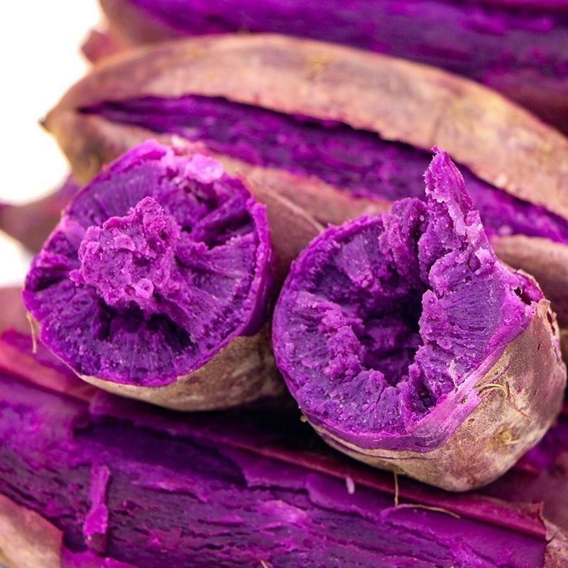 紫糯香甜紫薯新鲜红薯蔬菜番薯板栗沙地迷你笔记本零部件