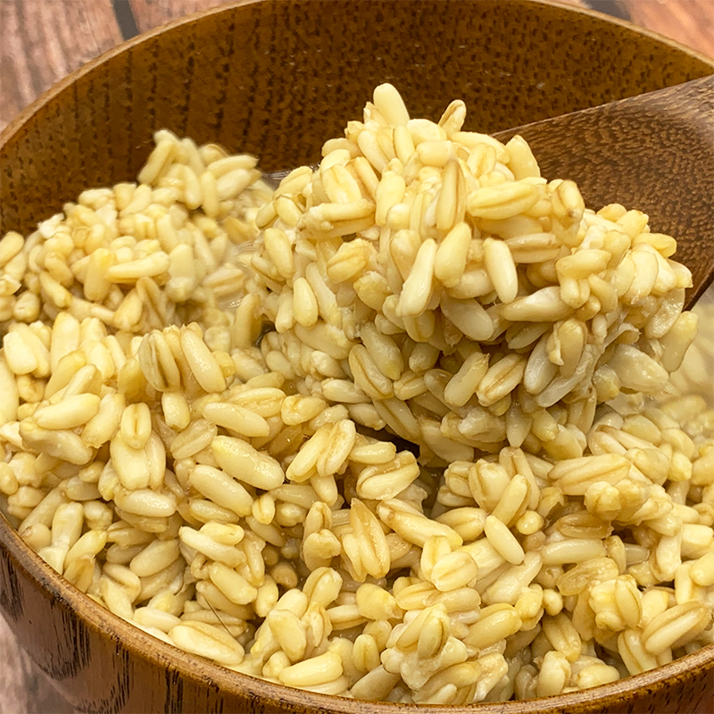 西北特色清真甜醅兰州美食小吃麦子胚子燕麦其它干货