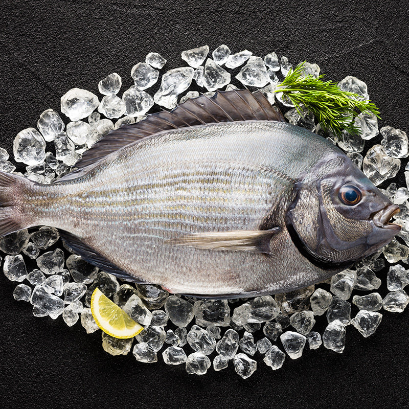 深海鱼2包大西洋自捕捞海鲫鱼冷冻黑椎鲷 鲜活 冷冻水产 鲜活水产
