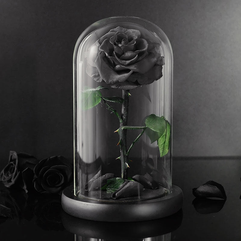 永生花黑玫瑰玻璃罩礼盒生日礼物长生花保鲜花摆件永生花