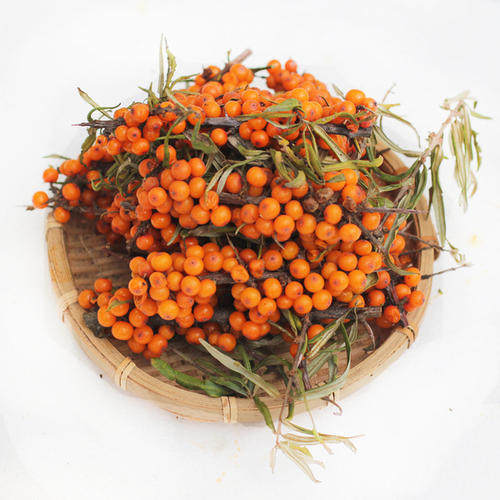 沙棘鲜果小果含沙山西特产2斤包邮酸刺果新鲜沙棘