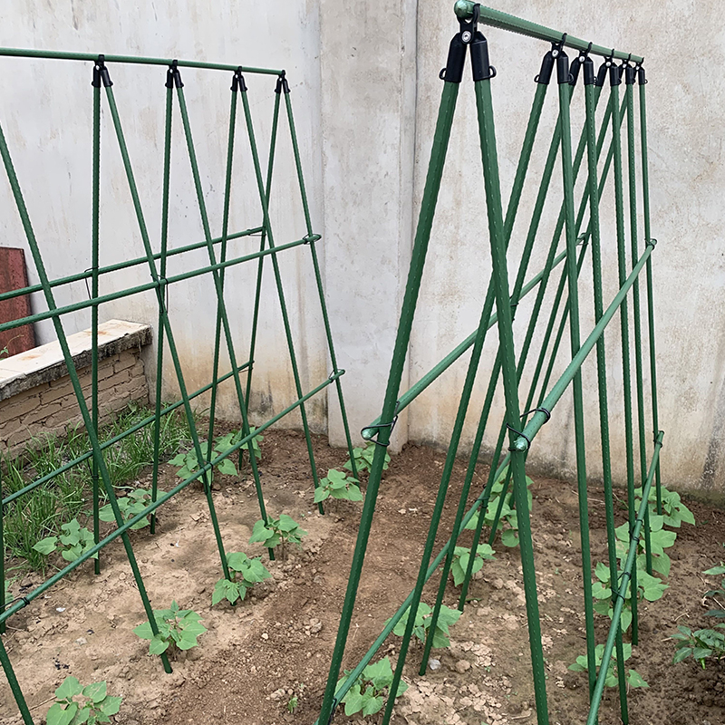 架子爬藤黄瓜种菜豆角葡萄藤架花园花支户外花架