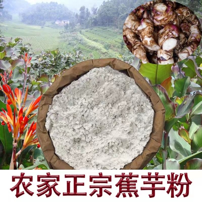 21年藕粉白凉仙草芋粉姜芋番旱藕新鲜姜藕粉自制芋头