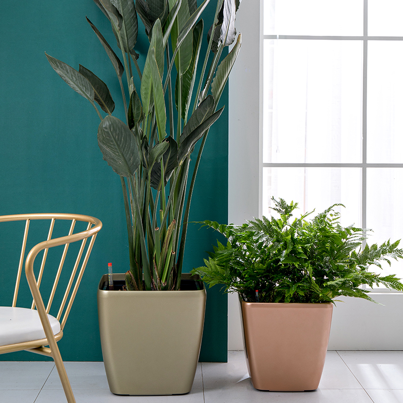 天堂鸟浇水懒人储水大号北欧方形简约室内阳台花盆