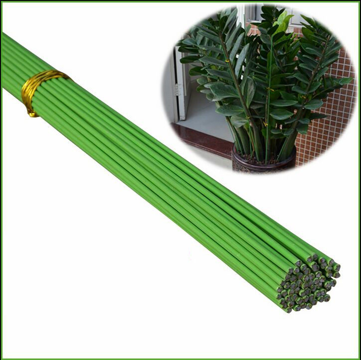 支架绿包攀爬钱树金钱树杆子绿植花杆爬藤月季花杆