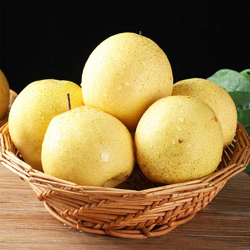 现货现发雪梨5斤脆甜多汁败火雪花梨9斤川贝冰糖雪梨应季新鲜水果