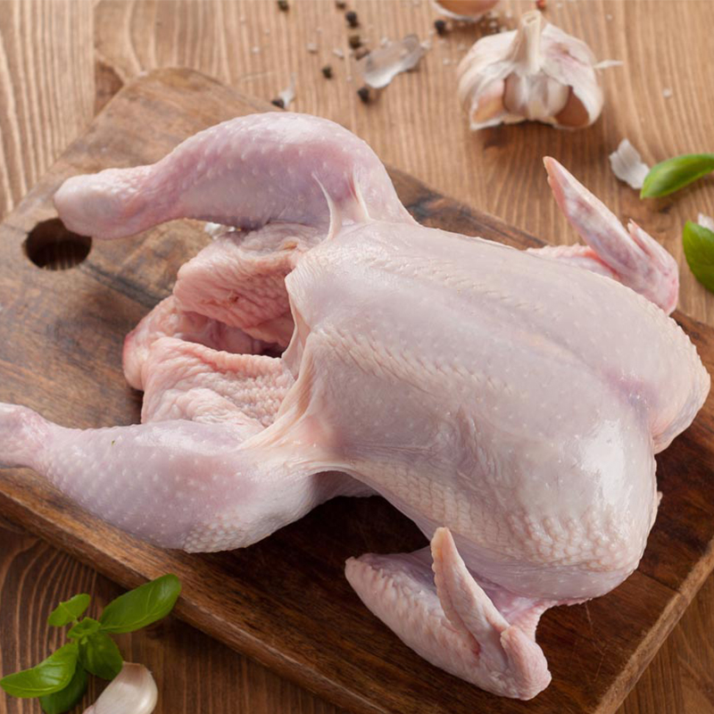 公鸡大红红公鸡农家散养土鸡活鸡现杀柴鸡老公整鸡