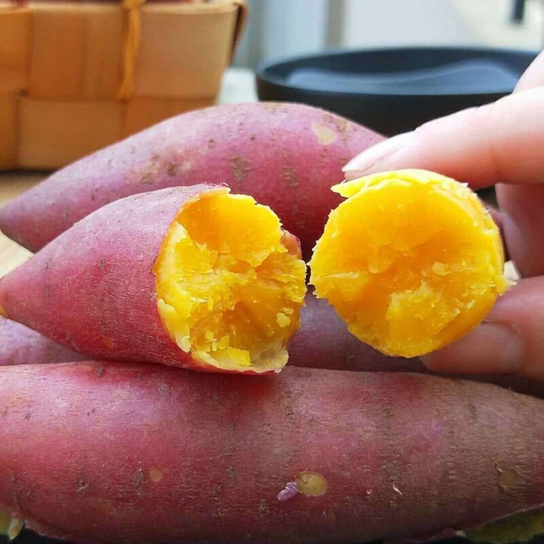 【】现挖新鲜红薯农家沙地黄心板栗地瓜番薯蜜薯带箱10斤/2斤