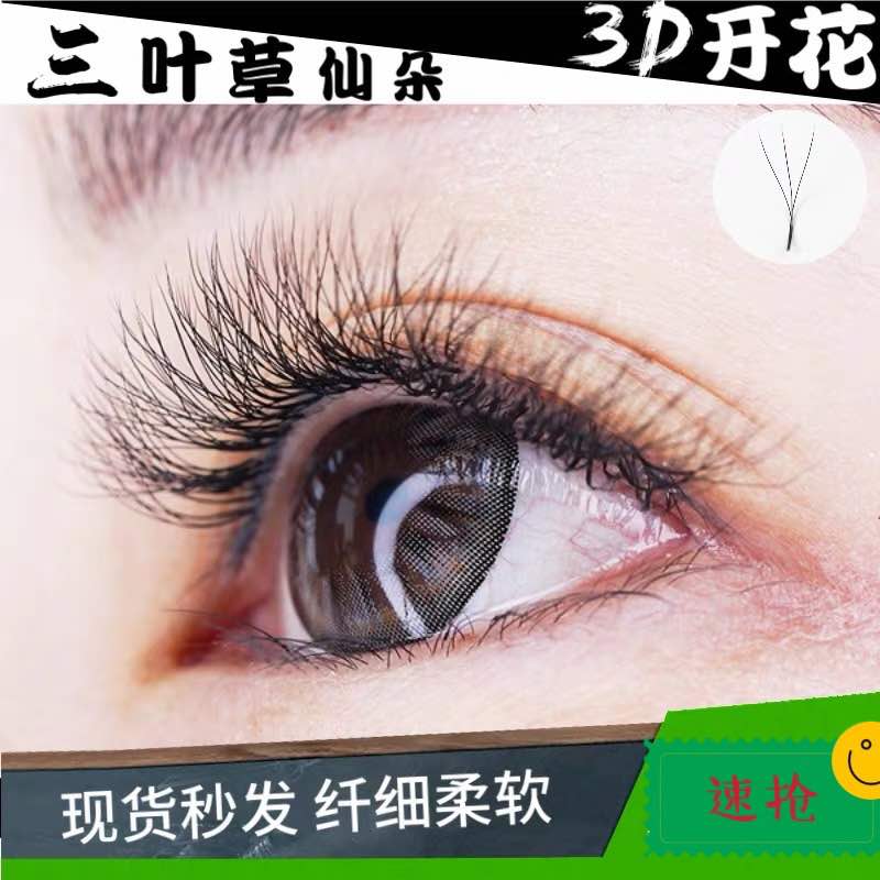 睫毛3d仙朵3叶草yy嫁接一秒开花浓密种植假睫毛