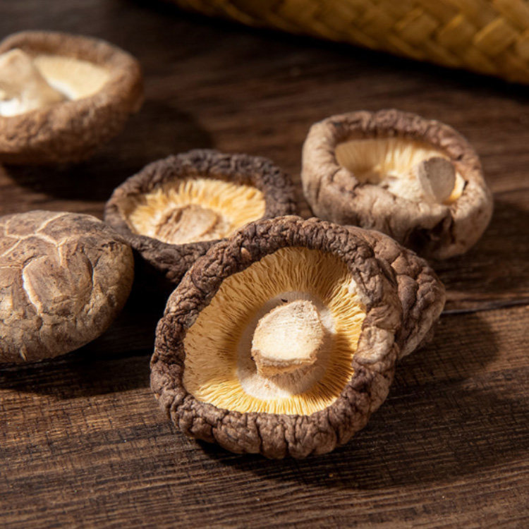 香菇神农架野生椴木干货500g农家特级小香蘑菇香菇类