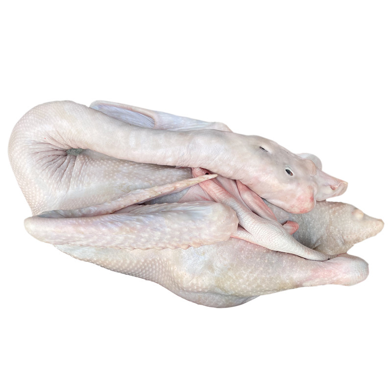 新鲜鹅肉养老速冻活杀鹅烧现杀卤水岗鹅鹅马鹅肉