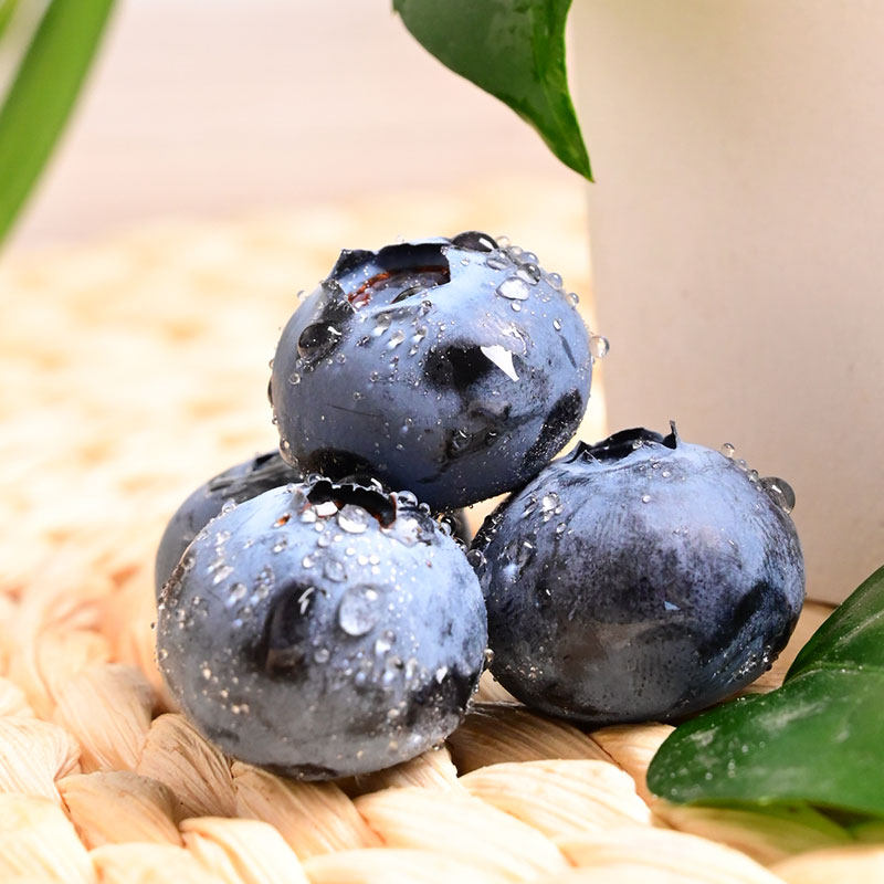 【佳品云蓝】现摘云南蓝莓125g×12盒