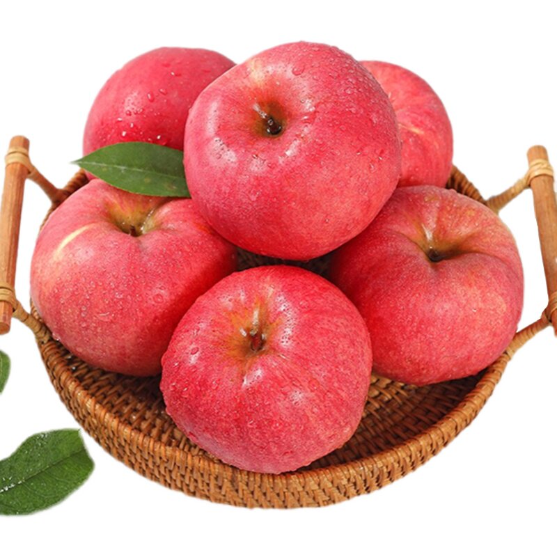 中国自主研发瑞阳苹果正宗陕西白水一级果脆甜新苹果