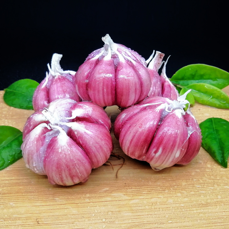 云南紫皮大蒜5斤干蒜多瓣蒜紫红皮蒜香农家大蒜
