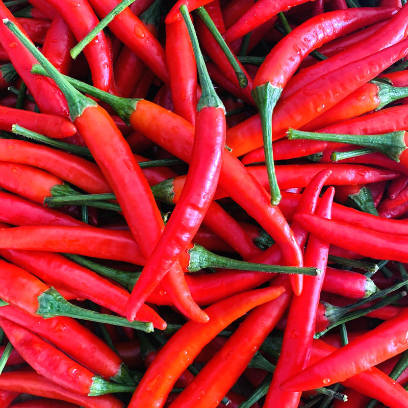 新鲜米辣椒小米椒红辣椒朝天椒小小米批发批发商商用辣椒