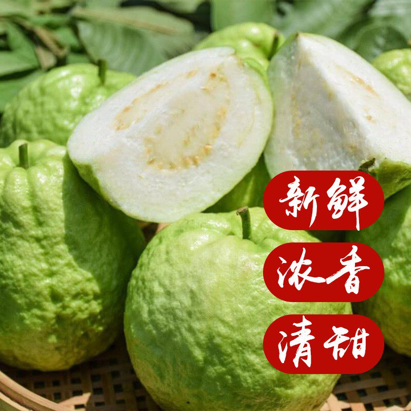 台湾珍珠白心芭番石榴新鲜水果特产现摘白珍珠整箱手机保护套