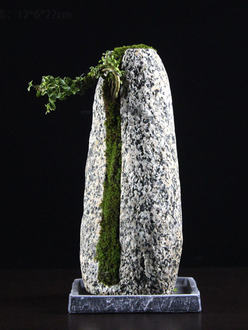 石头附石造景盆景假山松柏菖蒲景观花盆