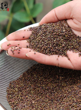 沙苑子500g茶正品新货精选潼蒺藜