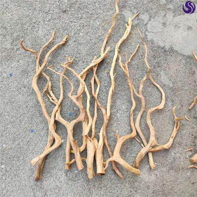 鱼缸树枝须根龙须根藤条景观美缸缸里摆设水木造景