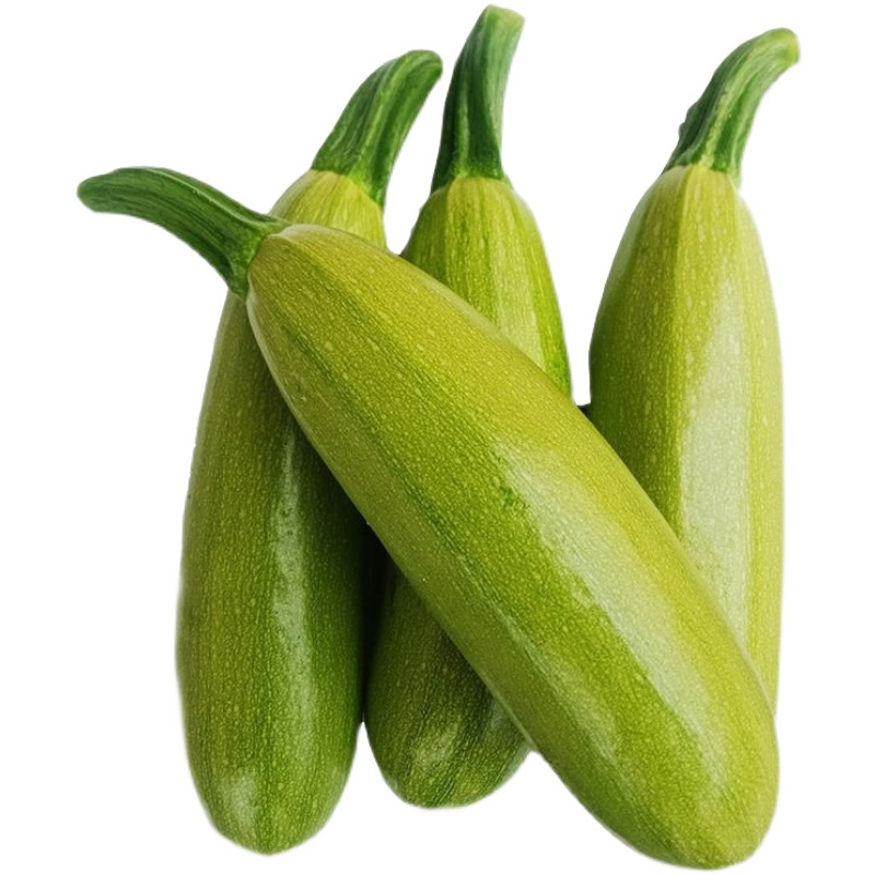 蔬菜新鲜现摘现发西葫芦5斤三月瓜茭包邮当季其它
