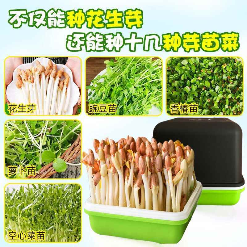 新款花生芽水培盒多功能种植盒神器家用芽苗菜豆芽菜育苗盘小方盒