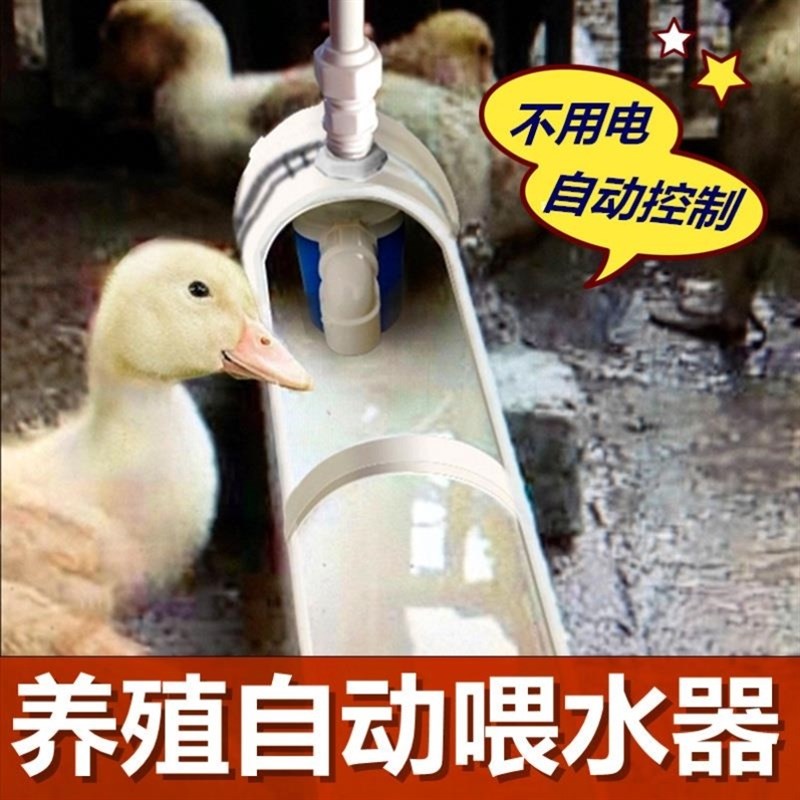 鸭禽自动水槽喝水畜牧用品器用饮水养殖喂水畜牧
