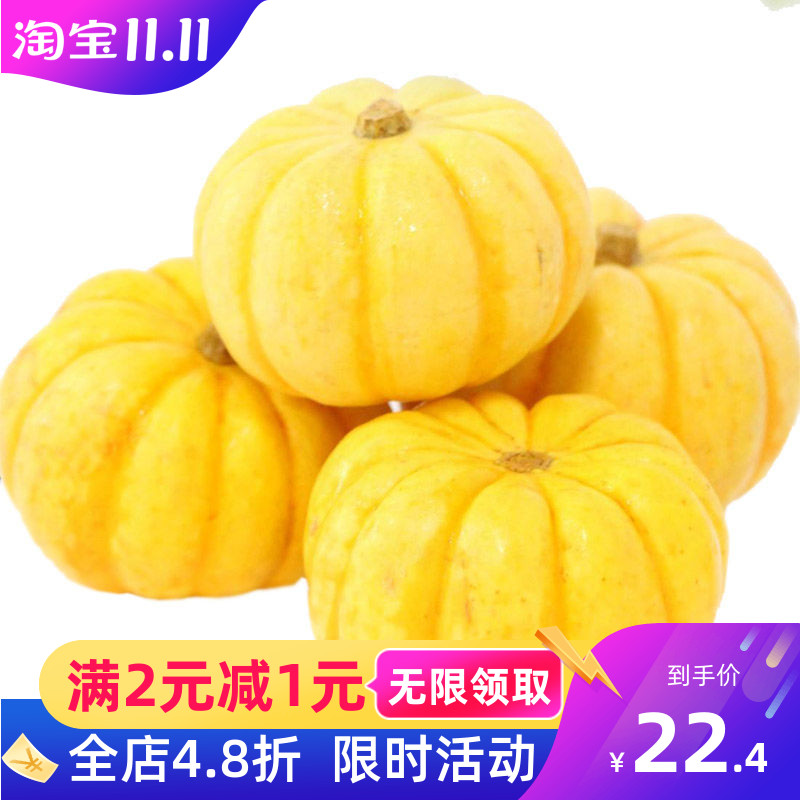 南瓜自家种植小金正宗小桔迷你小黄黄金宝宝南瓜