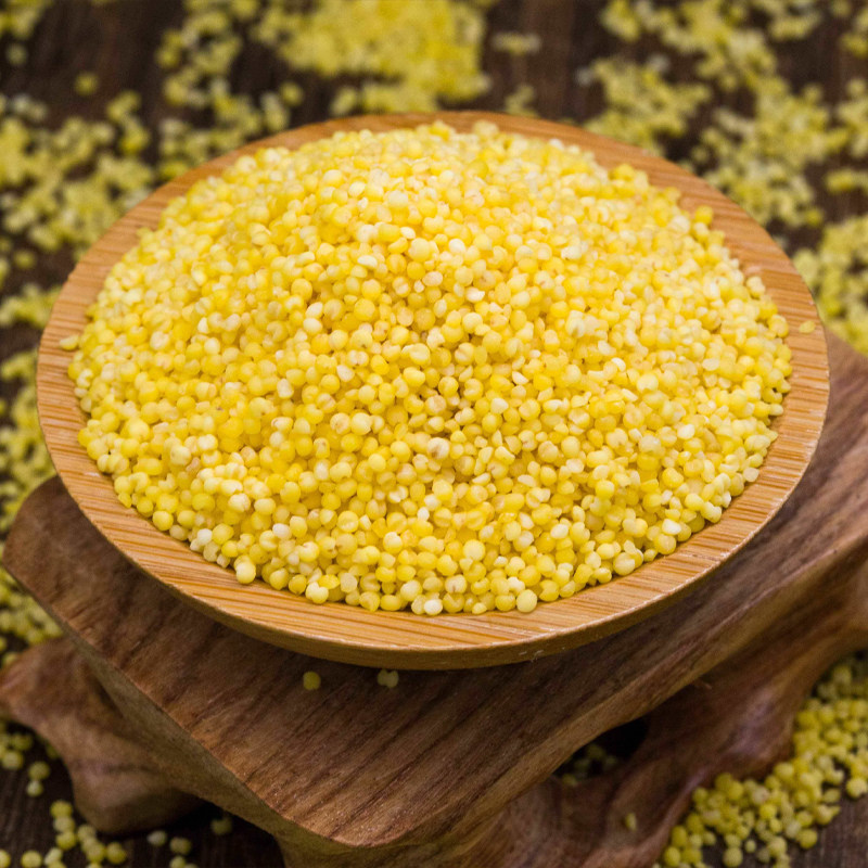 内蒙赤峰宏运大金金苗小米五谷杂粮食用产品早餐小米