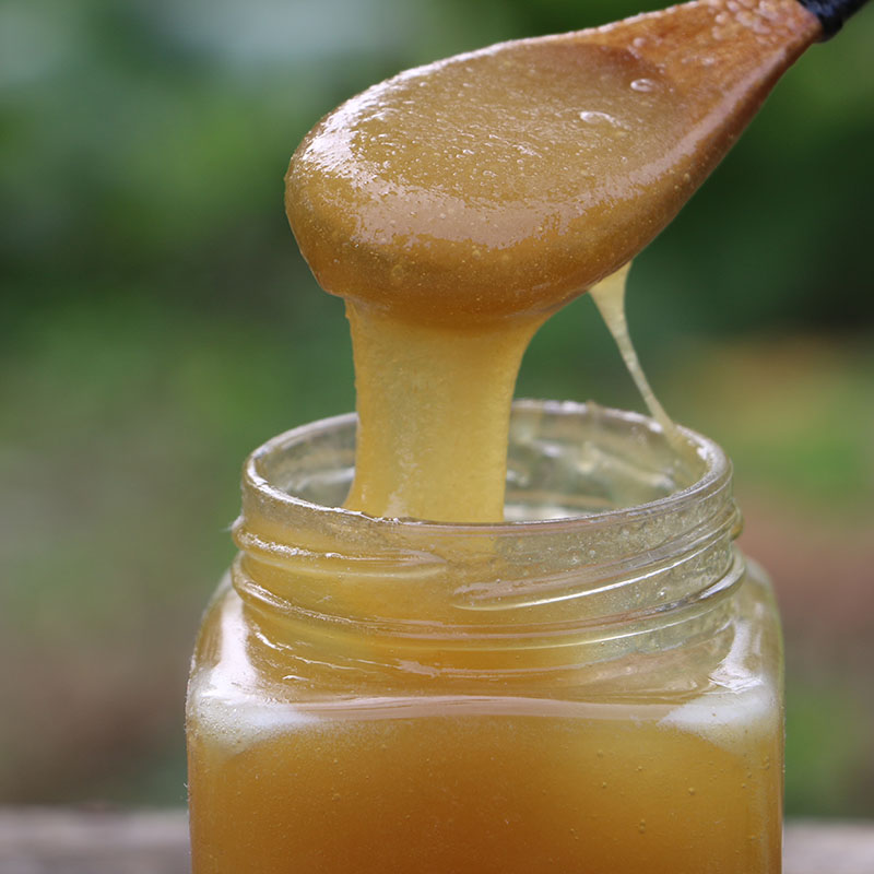 500g纯正天然野生百花蜜山花蜜成熟农家自产精选土蜂蜜