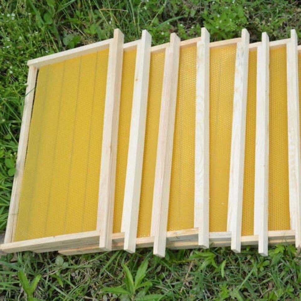 带框巢础成品巢框蜂巢中蜂意蜂杉木巢基蜜蜂巢脾养蜂工具蜂箱包邮