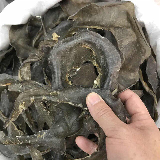 一斤装足大号中华甲鱼唇边裙边团鱼水飞边酒店甲鱼