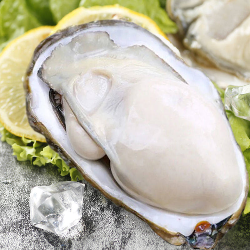 1箱水产海鲜即食牡蛎新鲜乳山大海特大10斤生蚝