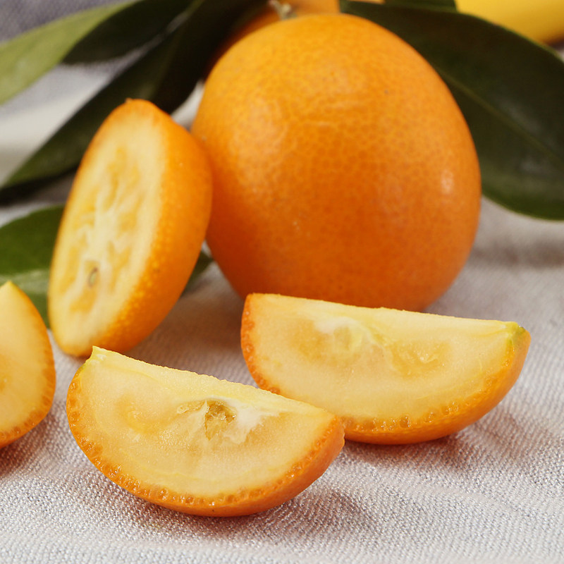 金桔5斤小金广西新鲜水果黄皮桔子麻皮油皮桔子
