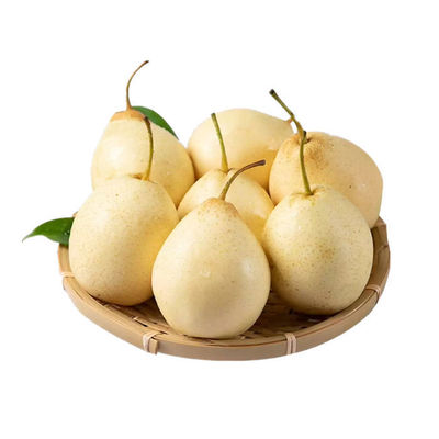 皇冠河北正宗水晶5斤净重多汁梨功效与作用/价格/好不好/哪里买/效果