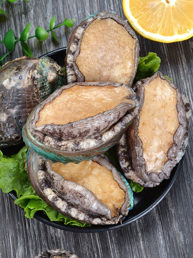 鲍鱼鲜冻青岛新鲜海海鲜水产1斤装12只包邮贝类手机保护套