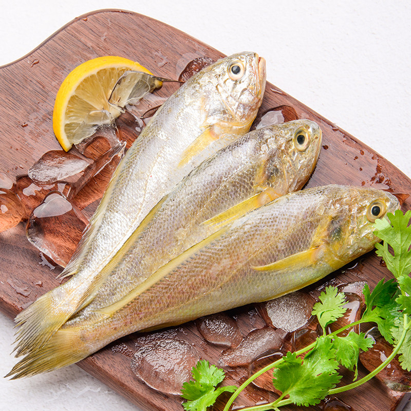 小黄3斤舟山黄鱼新鲜冷冻黄花鱼海鲜活海鲜水产黄鱼