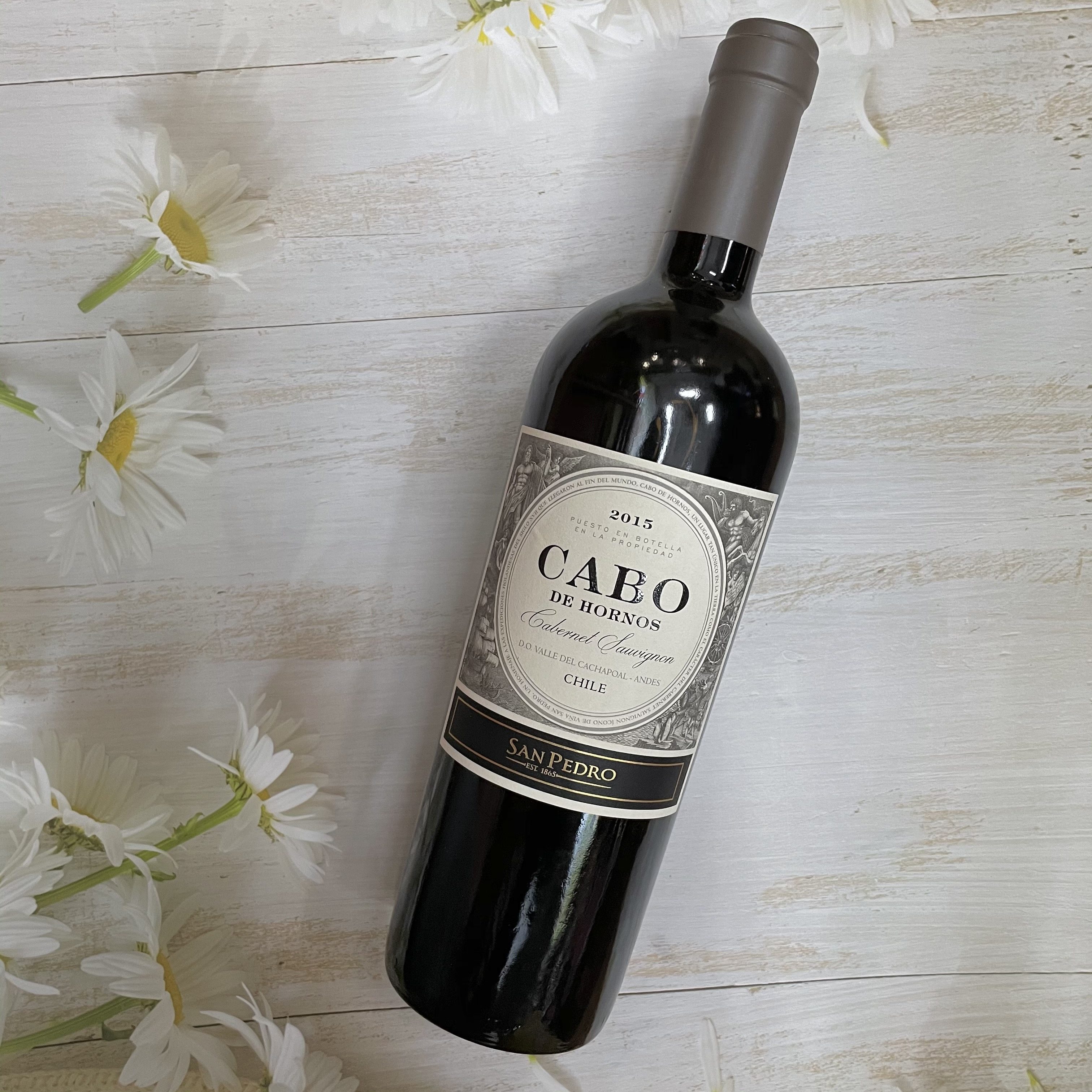 cabodehornos智利十八罗汉之一圣佩德罗卡博红葡萄酒干红静态葡萄酒