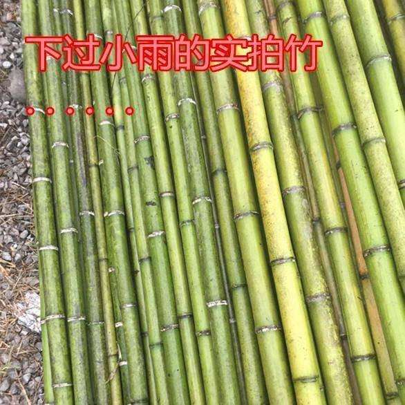 家舞各种规格菜竹竿子种菜园搭B架黄瓜跳用豆角蔬细园旗杆竹篱笆 - 图3