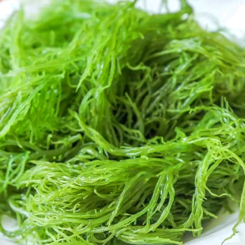 龙须菜1斤装新鲜海菜凉拌龙须菜海藻火锅凉拌菜海葡萄鹿角菜